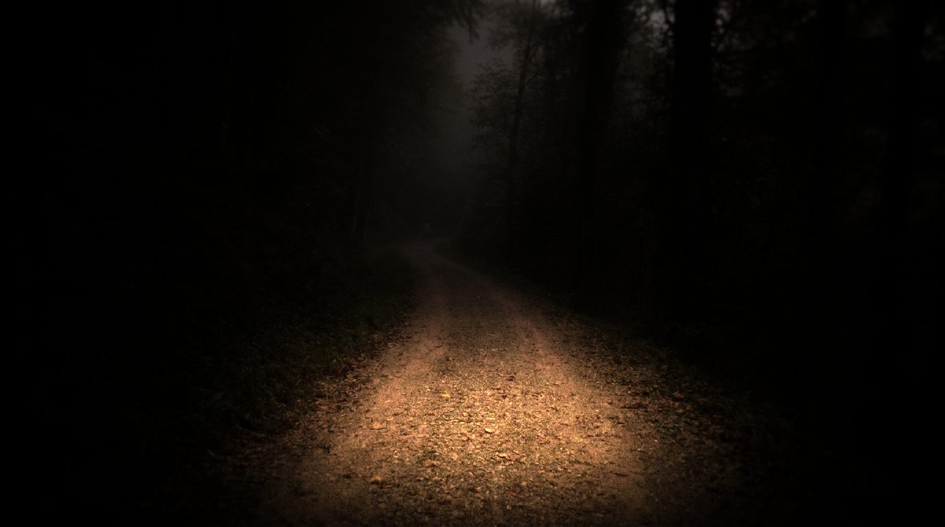 Kiesweg im Lichtkegel einer Stirnlampe, Wald im Nebel